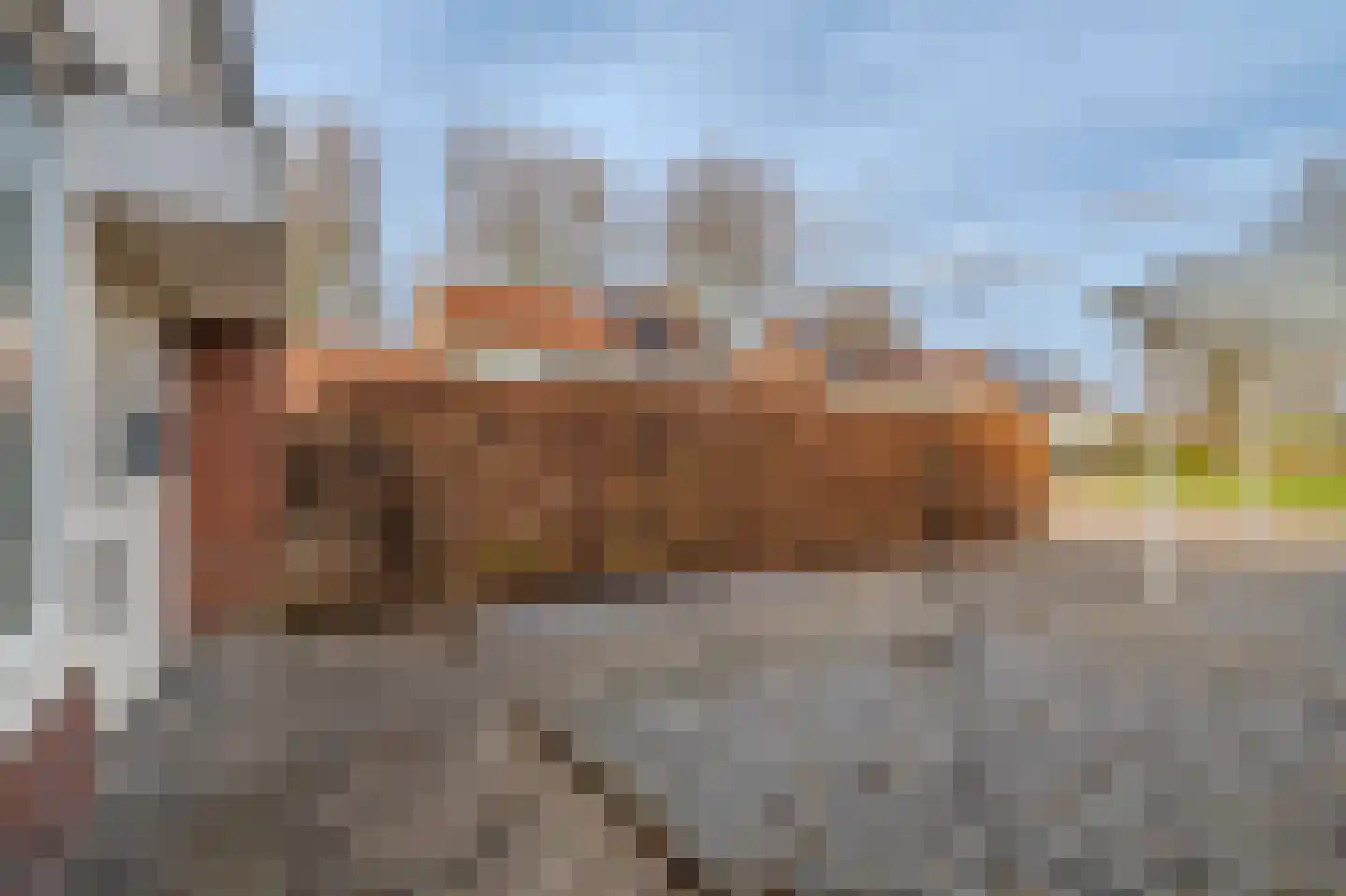 Kustweg 410 Delfzijl thumbnail 12