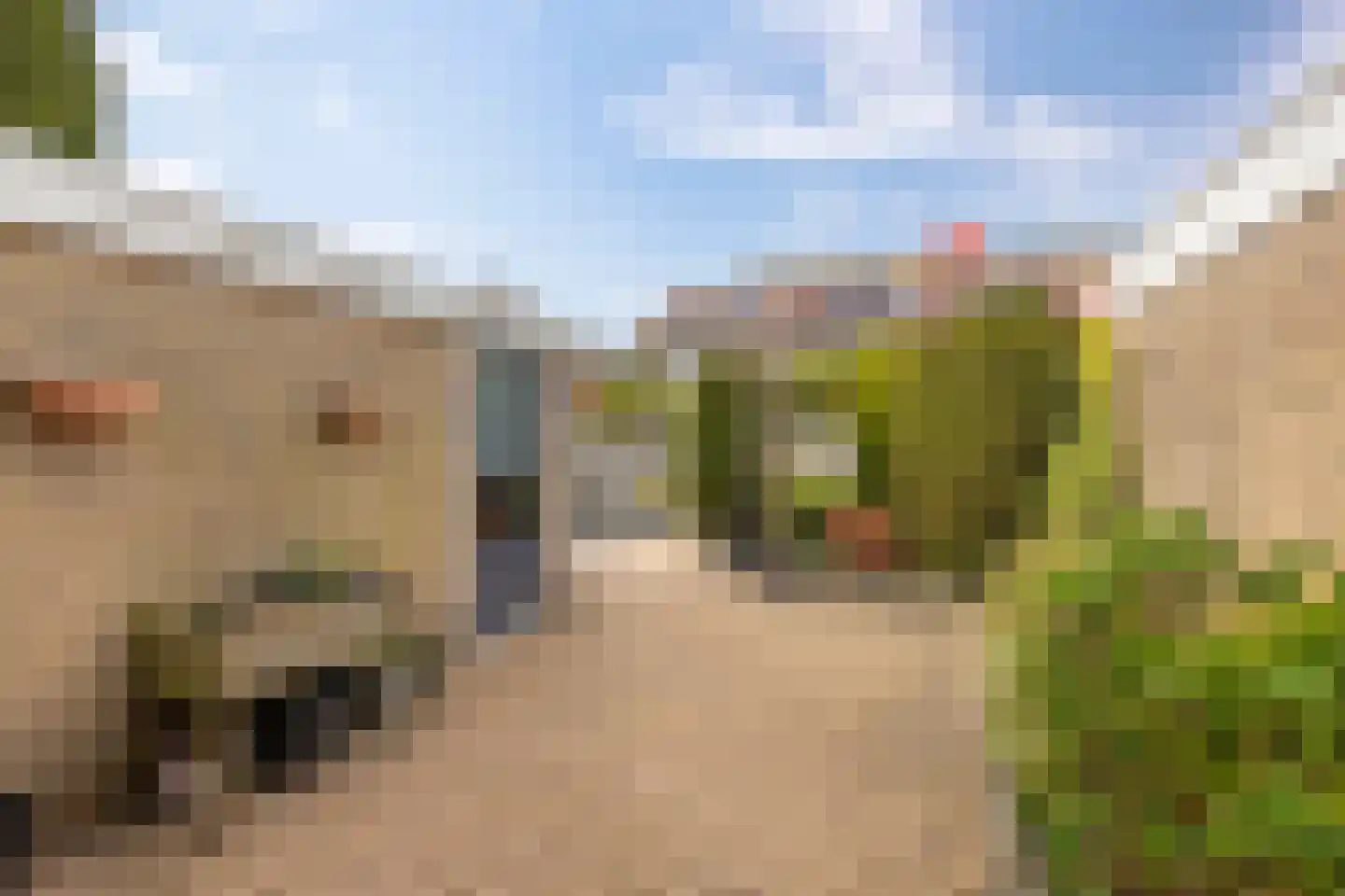Kustweg 460 Delfzijl thumbnail 44