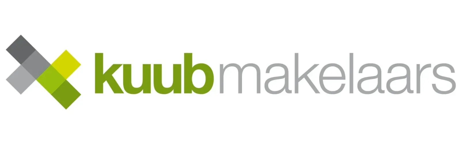 Team foto van Kuub Makelaars