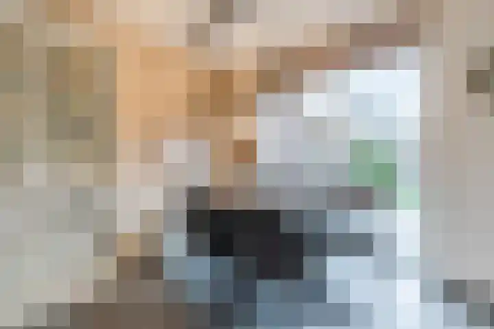 Kuukven 12 Baarlo thumbnail 11
