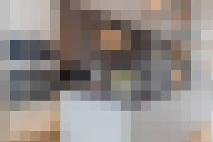 Kuukven 26 Baarlo thumbnail 17