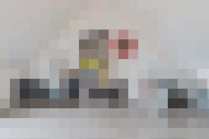Kuukven 26 Baarlo thumbnail 31