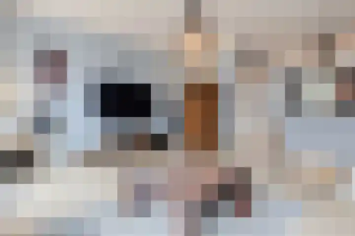 Kuukven 26 Baarlo thumbnail 6