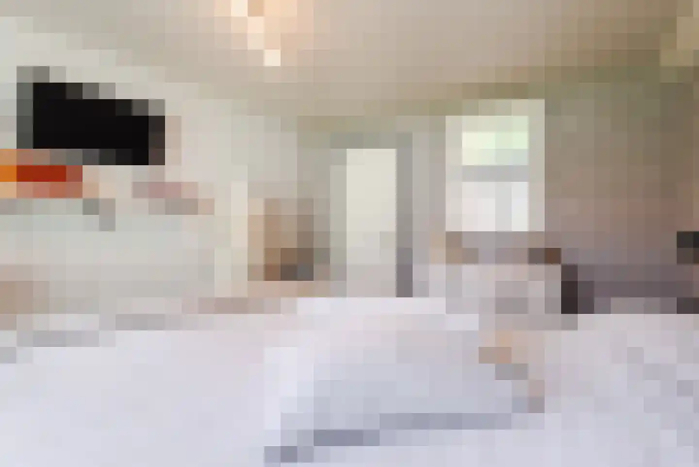 Kuulekamp 11 Harderwijk thumbnail 27