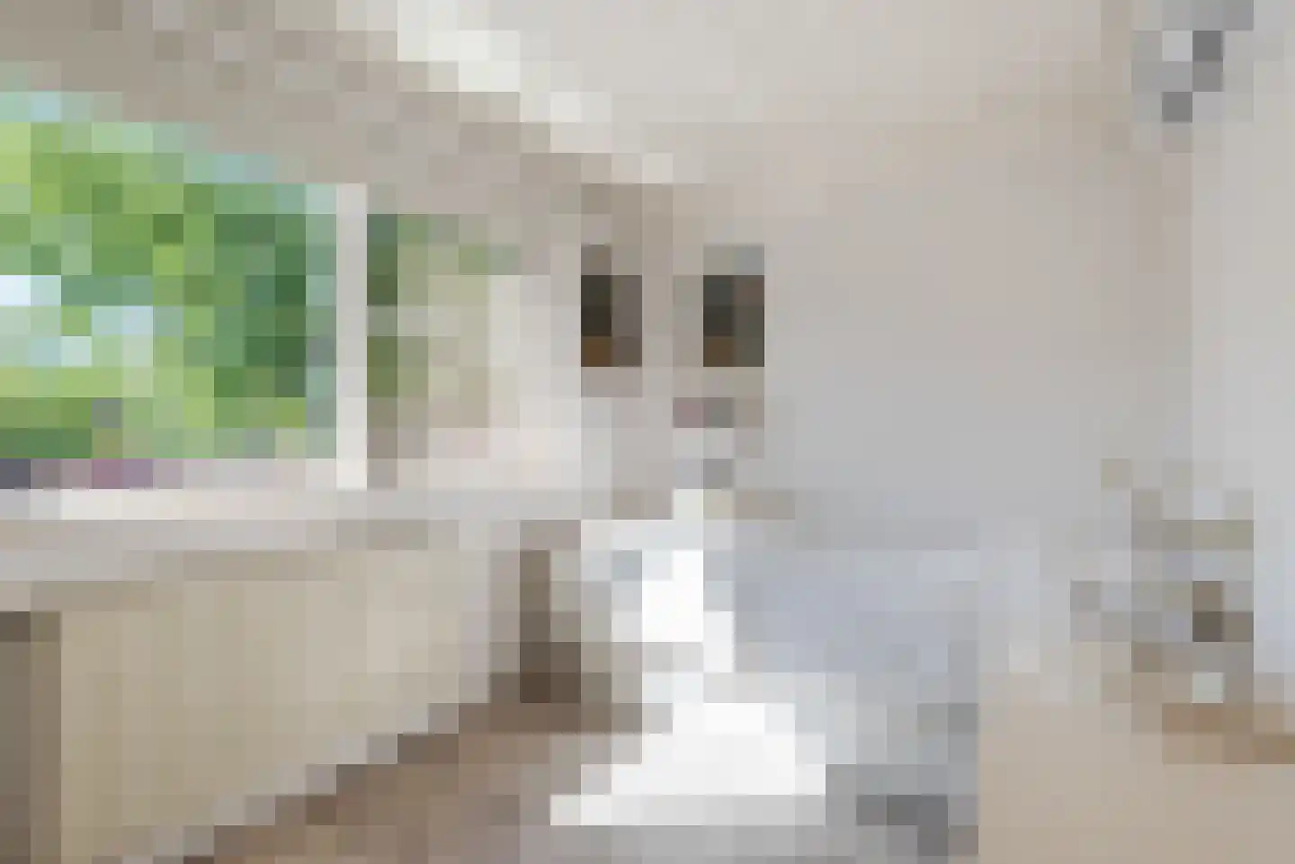 Kuulekamp 11 Harderwijk thumbnail 28