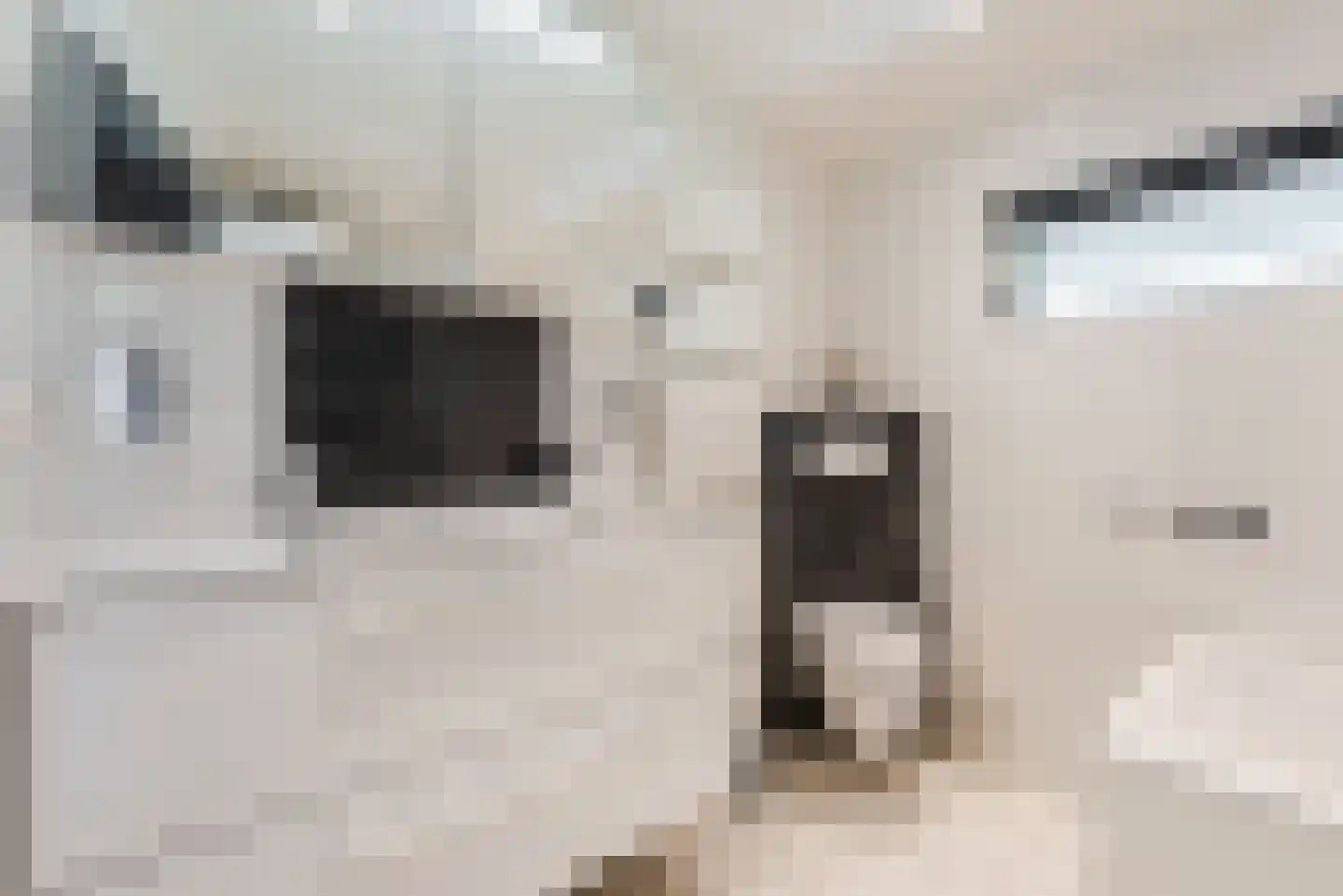 Kuulekamp 11 Harderwijk thumbnail 31