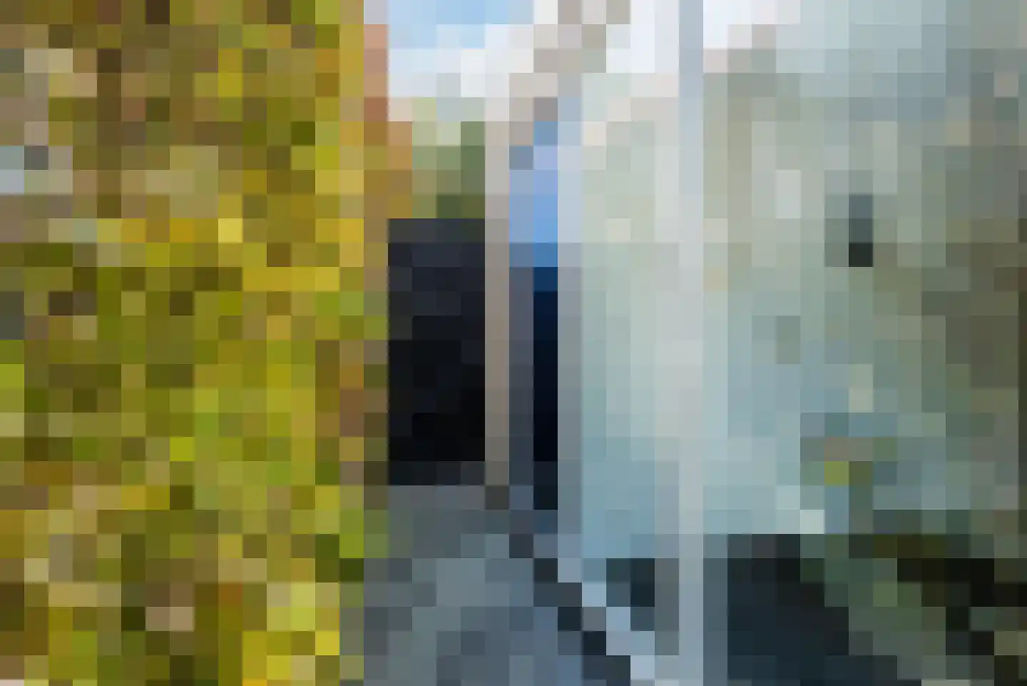 Kuulekamp 11 Harderwijk thumbnail 64