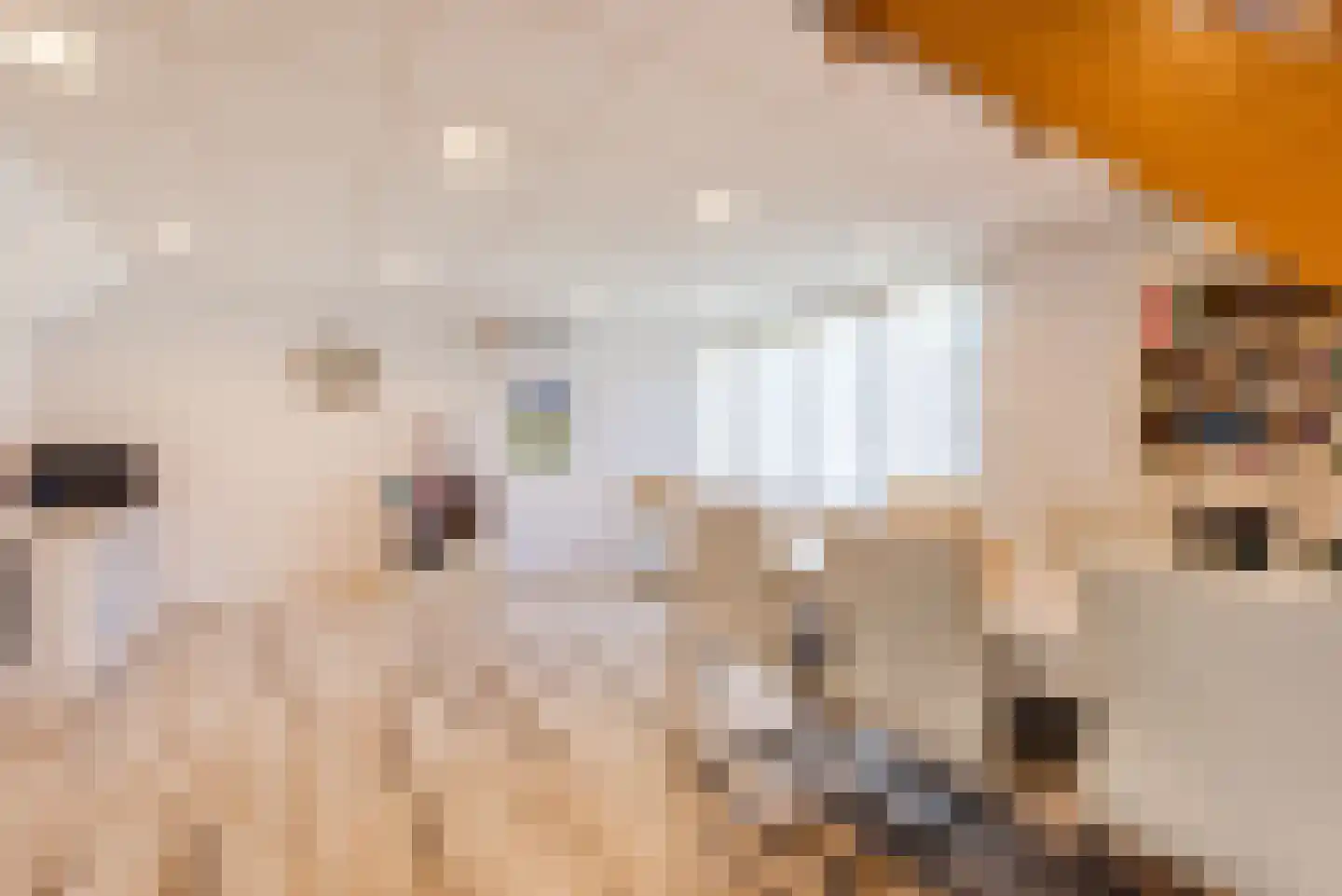 Kuulekamp 11 Harderwijk thumbnail 71