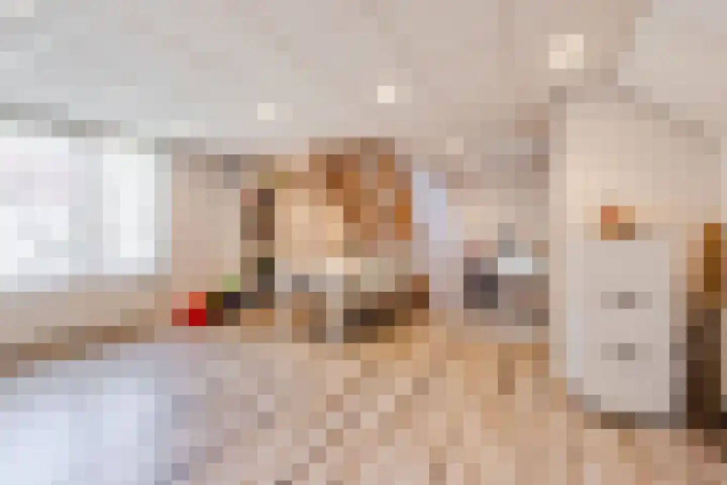Kuulekamp 11 Harderwijk thumbnail 72