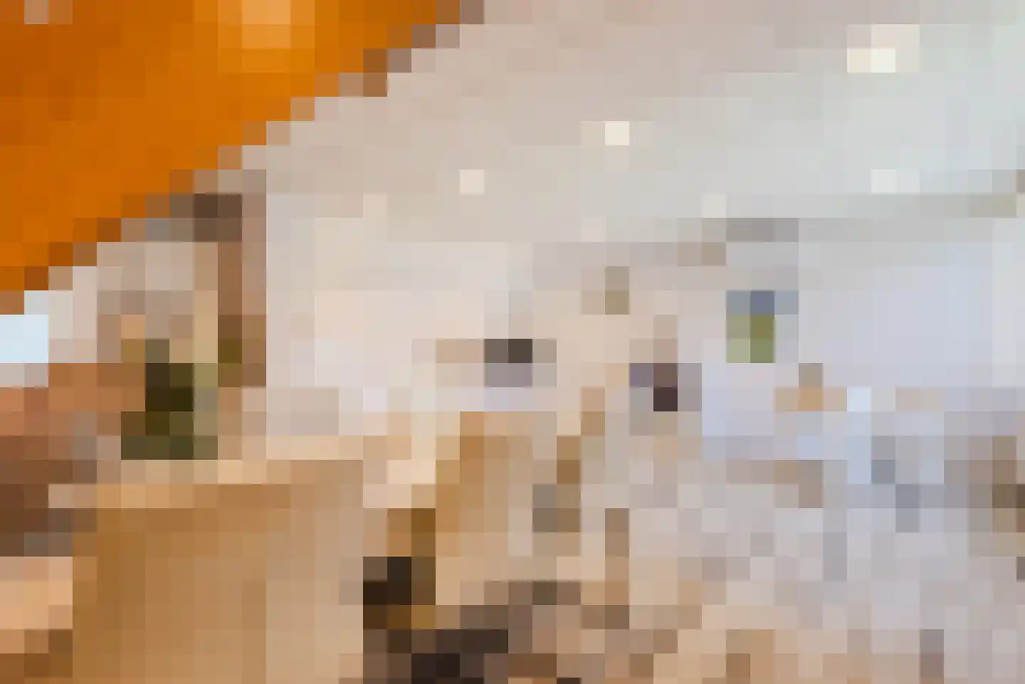 Kuulekamp 11 Harderwijk thumbnail 73