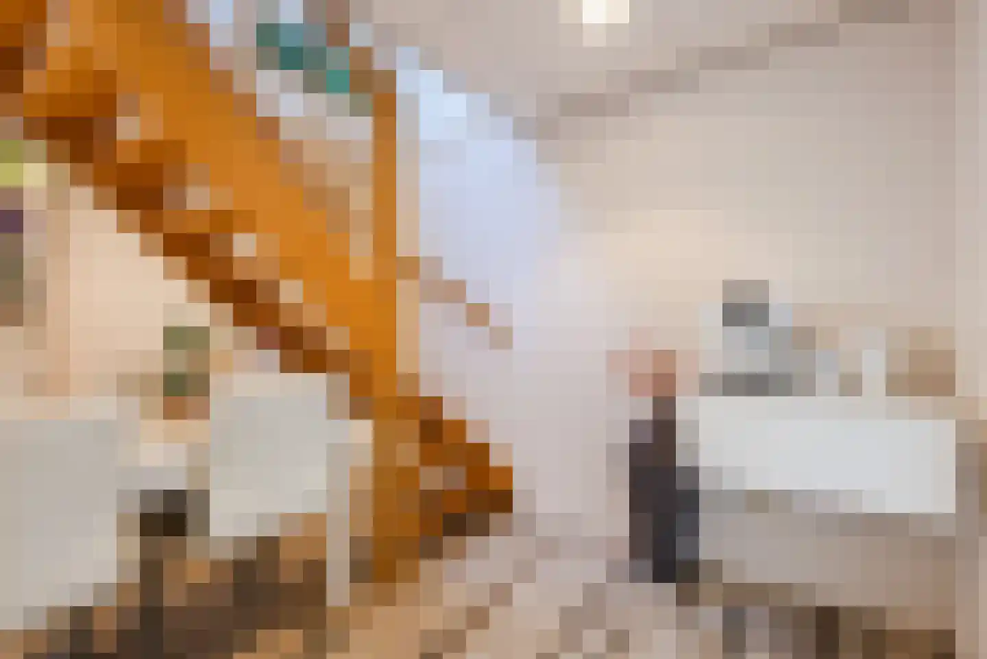 Kuulekamp 11 Harderwijk thumbnail 74