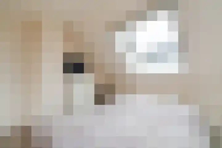 Kuulekamp 14 Harderwijk thumbnail 28