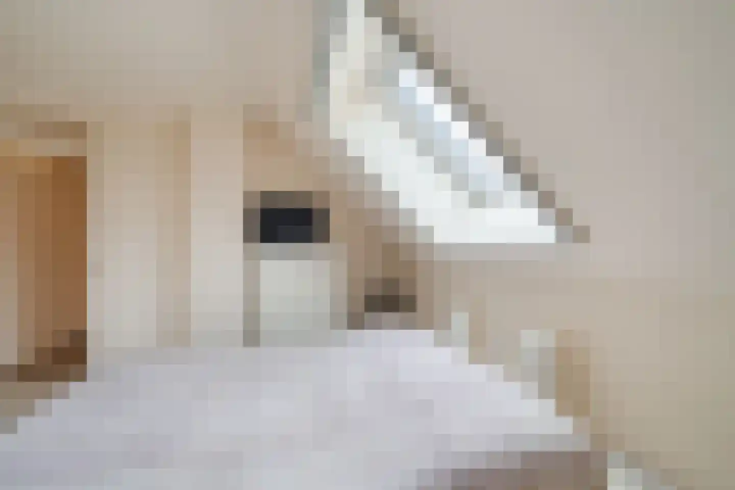 Kuulekamp 14 Harderwijk thumbnail 29