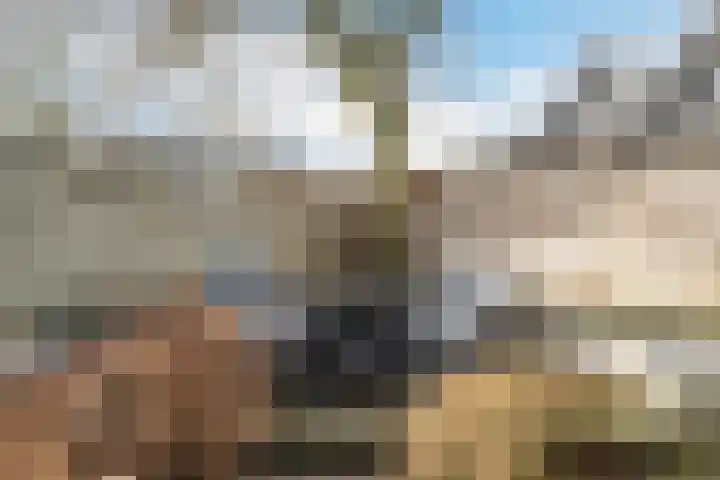 Kuulekamp 14 Harderwijk thumbnail 55