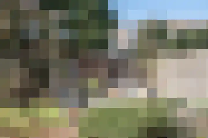 Kuulekamp 14 Harderwijk thumbnail 64