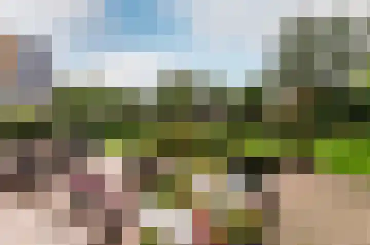 Kuulekamp 39 Harderwijk thumbnail 34