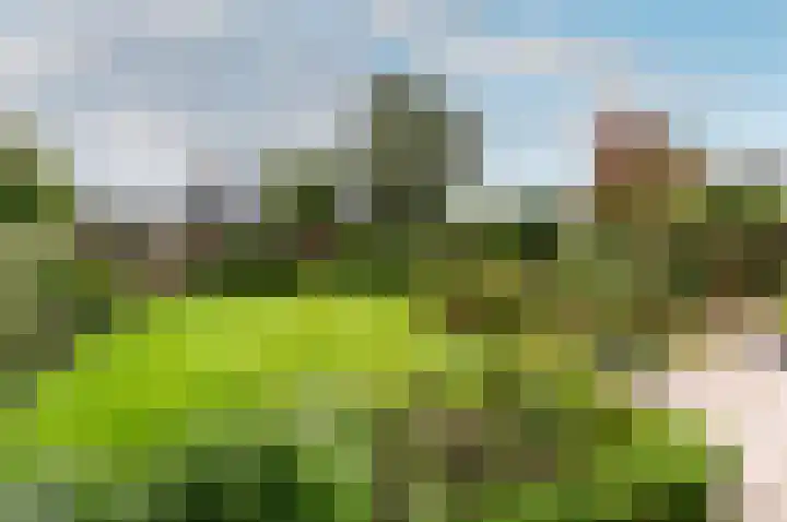 Kuulekamp 39 Harderwijk thumbnail 35