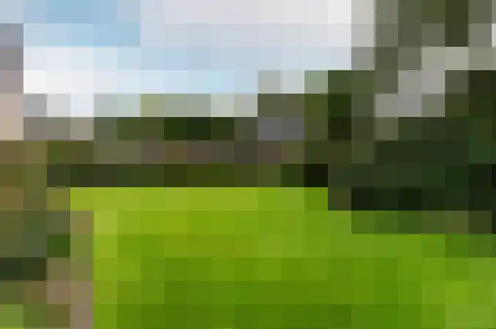 Kuulekamp 39 Harderwijk thumbnail 36