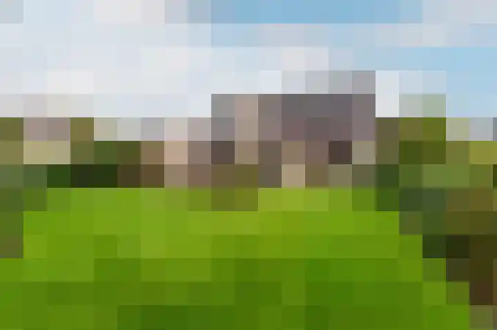 Kuulekamp 39 Harderwijk thumbnail 37
