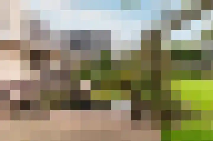 Kuulekamp 39 Harderwijk thumbnail 39
