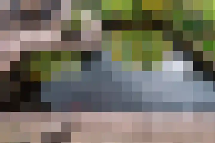Kuulekamp 39 Harderwijk thumbnail 40