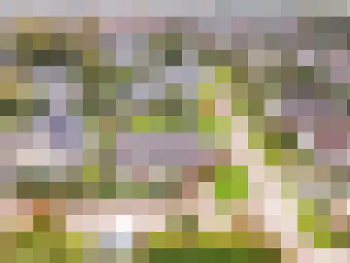 Kuulekamp 39 Harderwijk thumbnail 47