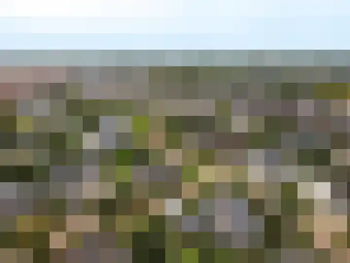Kuulekamp 39 Harderwijk thumbnail 50