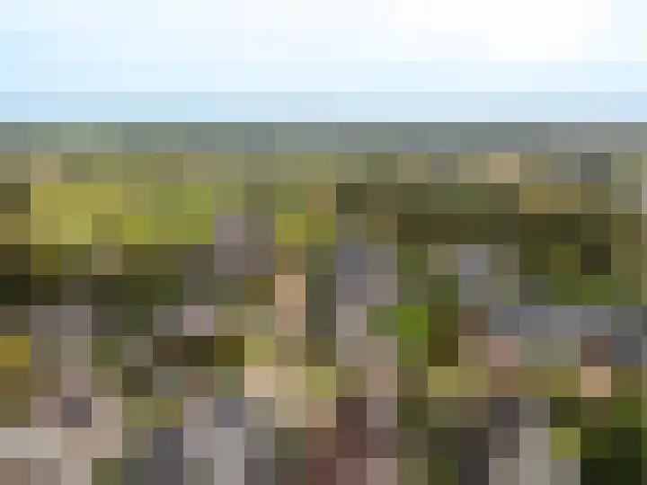Kuulekamp 39 Harderwijk thumbnail 51