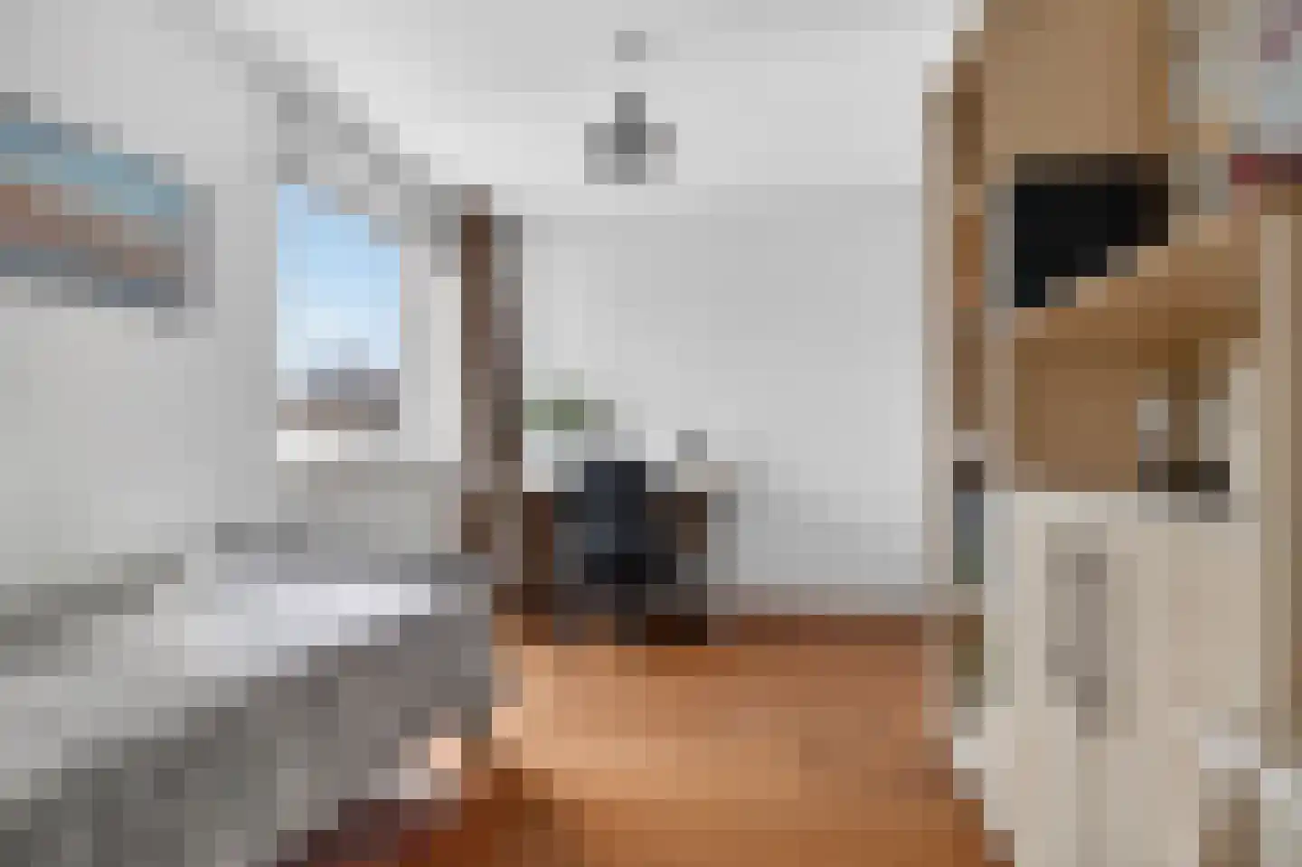 Kuulekamp 4 Harderwijk thumbnail 20