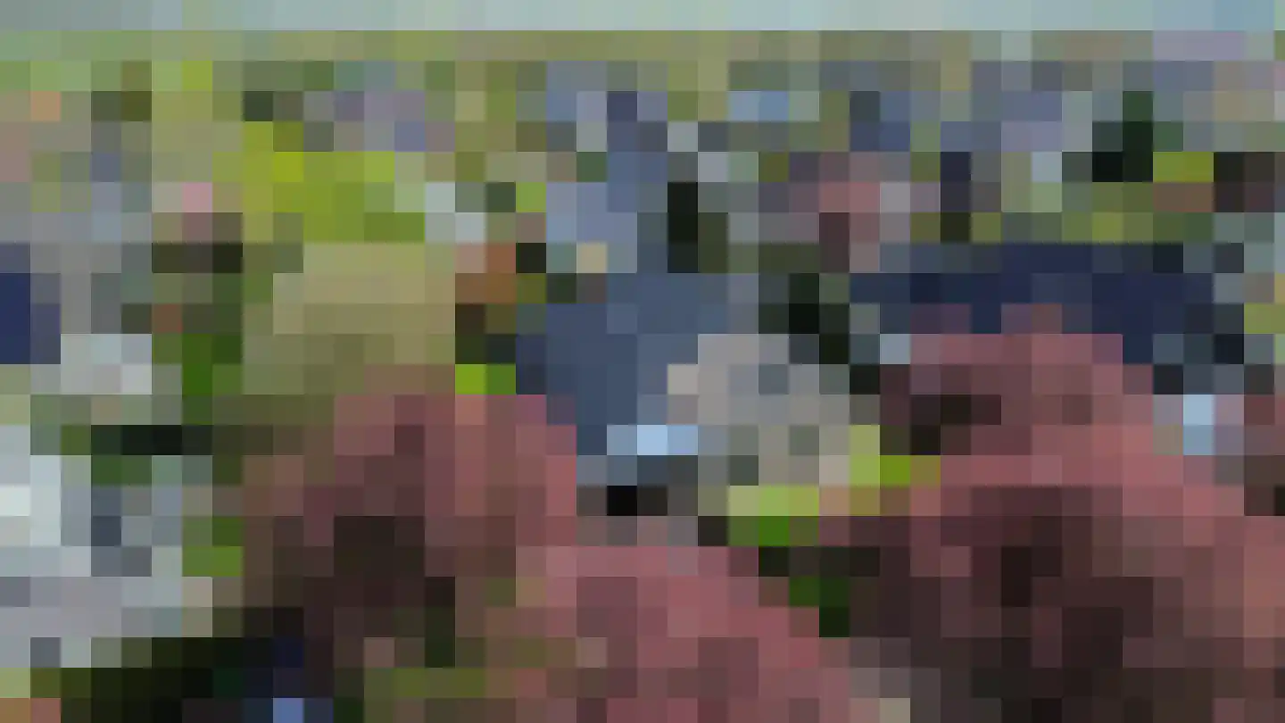 Kuulekamp 4 Harderwijk thumbnail 38