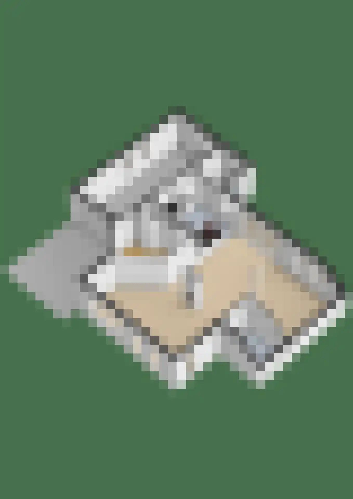 Kuulekamp 4 Harderwijk thumbnail 41