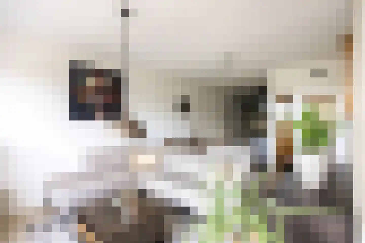 Kuunderhof 50 Oosterwolde thumbnail 33