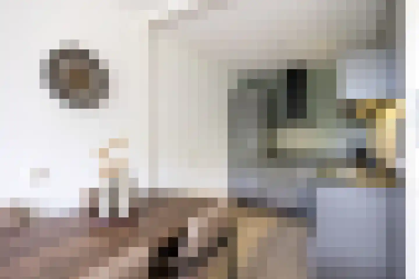 Kuunderhof 50 Oosterwolde thumbnail 36