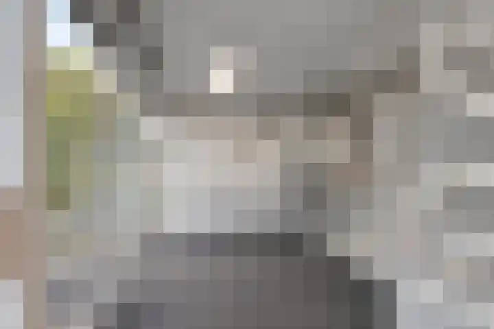 Kuunderhof 64 Oosterwolde thumbnail 5