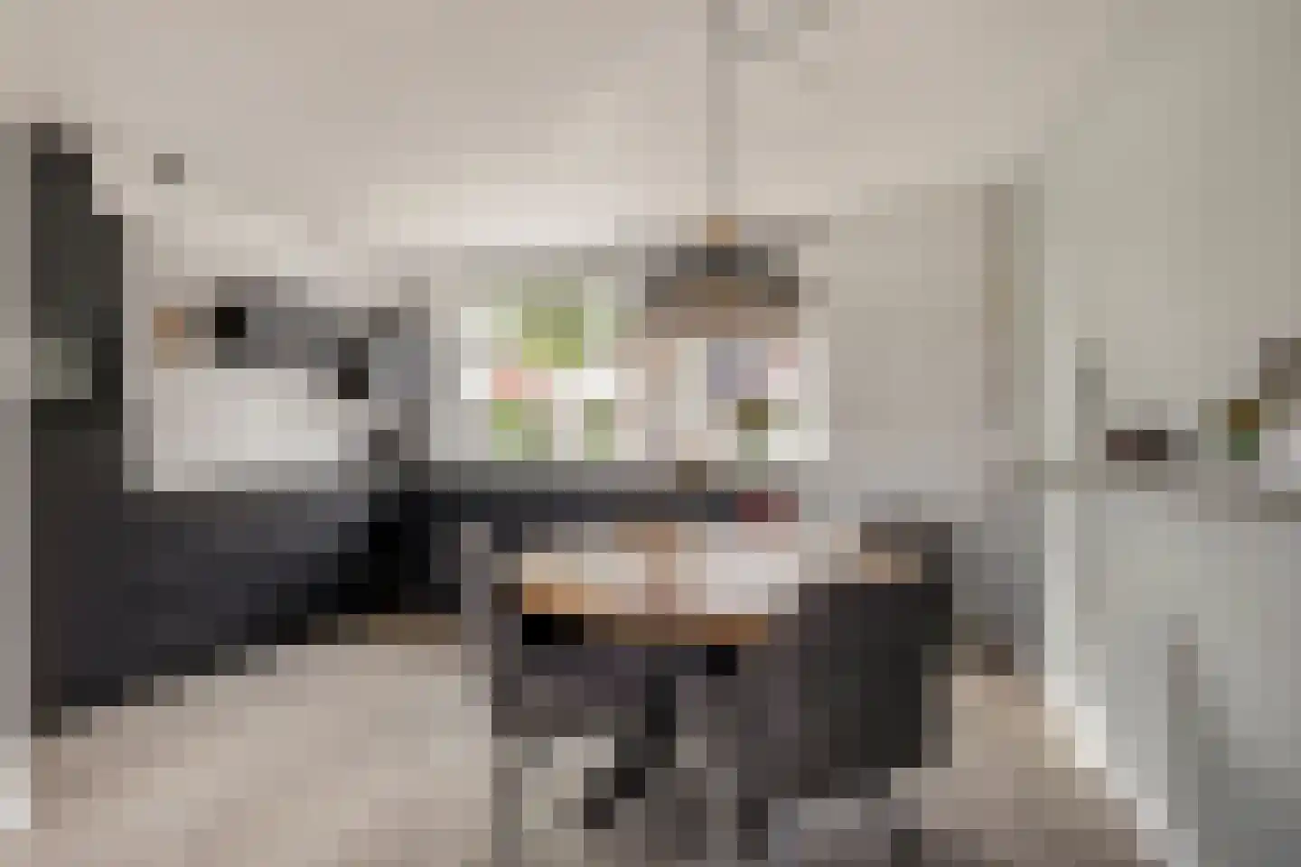 Kuunskop 6 Huissen thumbnail 9