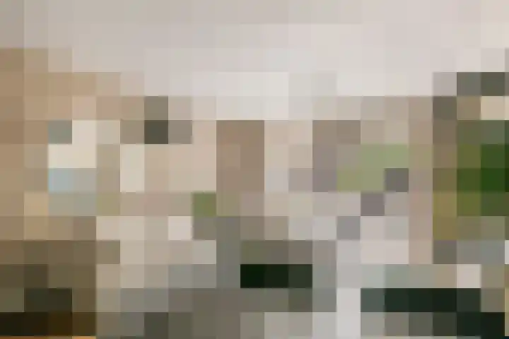 Kuyckshof 28 Meteren thumbnail 11