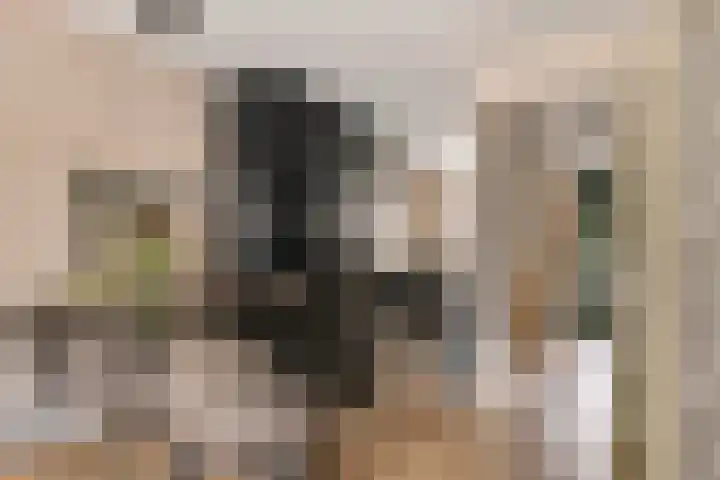 Kuyckshof 28 Meteren thumbnail 12