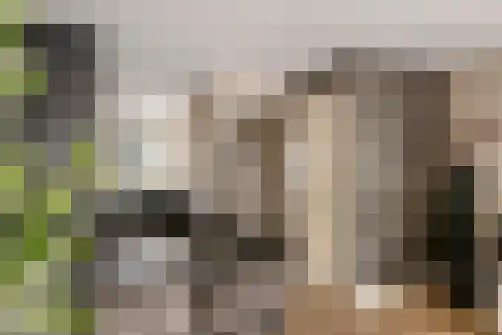 Kuyckshof 28 Meteren thumbnail 13