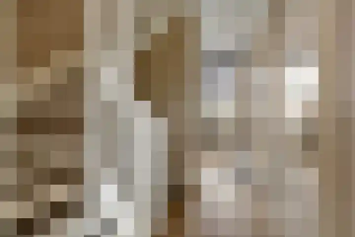Kuyckshof 28 Meteren thumbnail 17