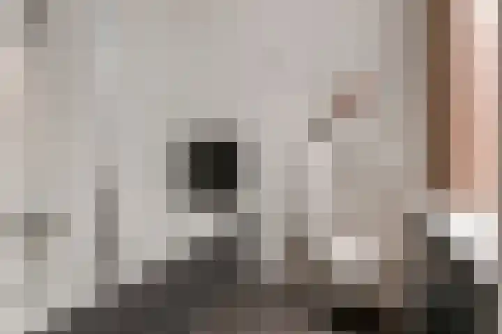 Kuyckshof 28 Meteren thumbnail 24