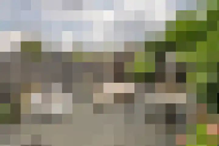Kuyckshof 28 Meteren thumbnail 32