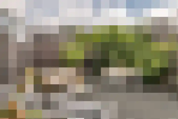 Kuyckshof 28 Meteren thumbnail 33