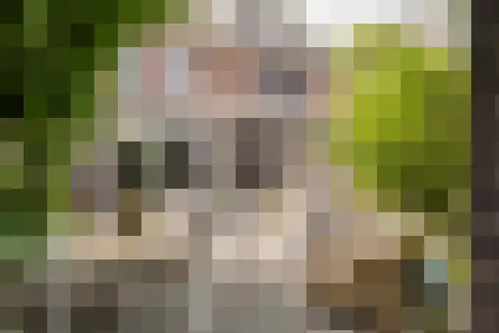 Kuyckshof 28 Meteren thumbnail 34