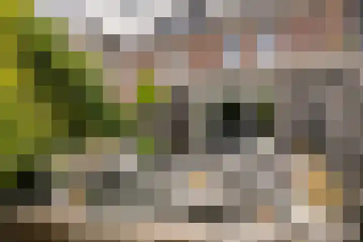 Kuyckshof 28 Meteren thumbnail 35