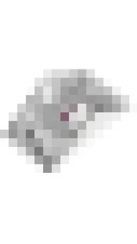Kuyckshof 28 Meteren thumbnail 41