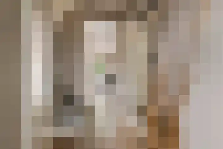 Kuyckshof 28 Meteren thumbnail 5