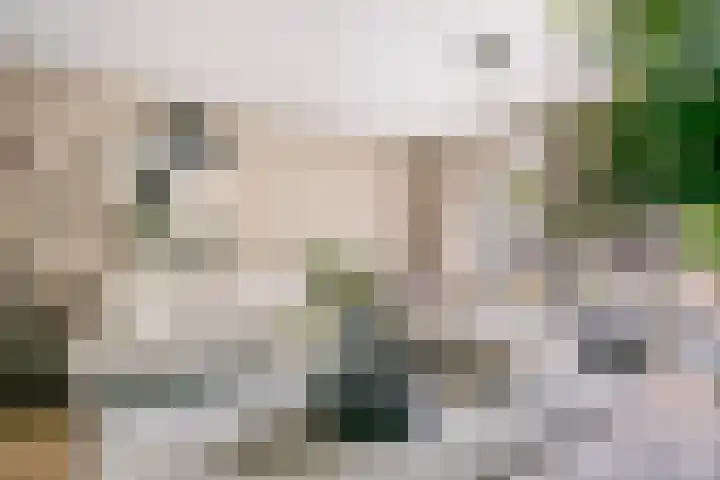 Kuyckshof 28 Meteren thumbnail 8