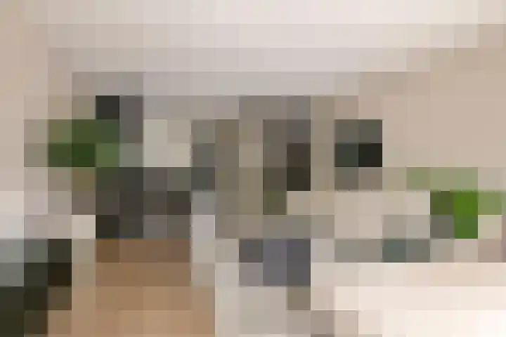 Kuyckshof 28 Meteren thumbnail 9