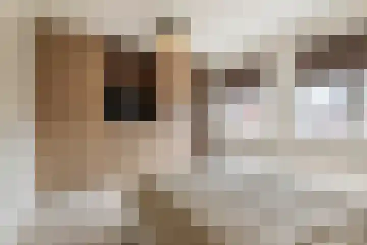 Kuyckshof 5 Meteren thumbnail 16