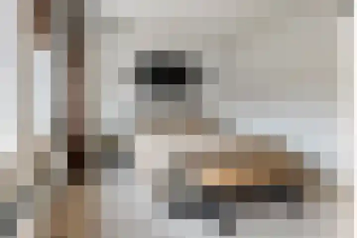 Kuyckshof 5 Meteren thumbnail 17